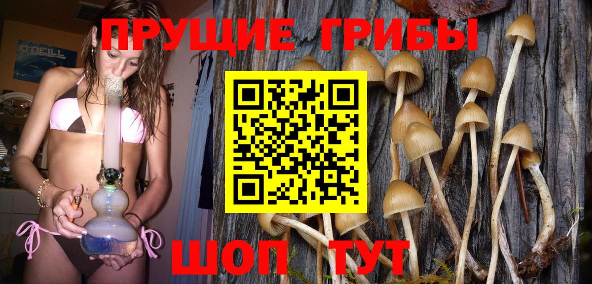 Галлюциногенные грибы ЛСД Большой Камень