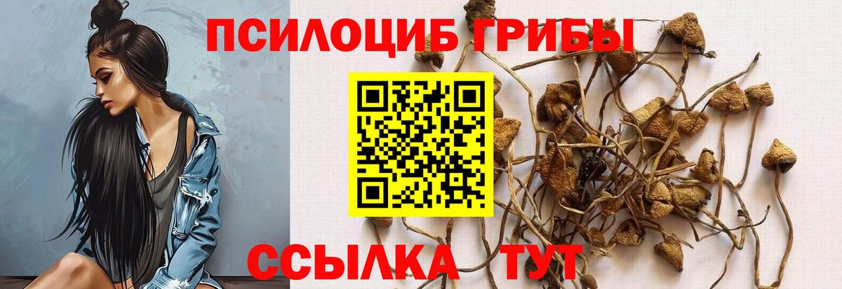 Галлюциногенные грибы Cubensis  Вход с VPN  Псилоцибиновые грибы Psilocybine cubensis  что такое наркотик  Большой Камень 